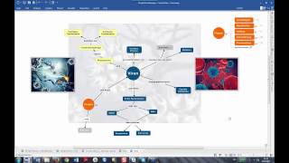 Concept Maps mit MindManager im Handumdrehen