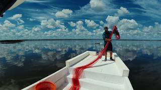 Throwing a GIANT Cast Net for Invasive Tilapia!!!