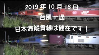 【台風一過！】深夜の貨物撮影記 EF510 ×7本 日本海縦貫線(北陸本線)福井～森田 2019年10月16日