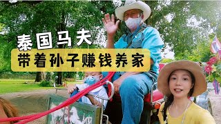 老爺子送馬去學校學費就一萬八如今沒有中國遊客的日子賺錢好艱難