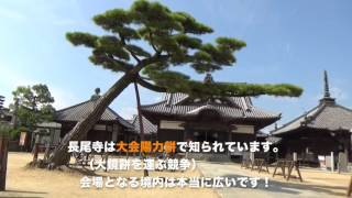 力餅のお寺、長尾寺。 87番長尾寺