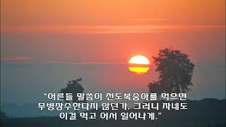 삶의 진리 - 천도복숭아