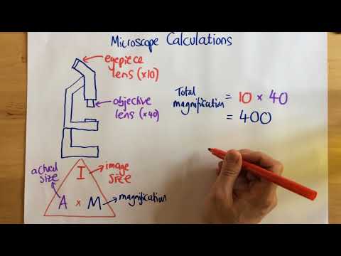 What does total magnification mean?