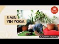 5-Minute Yin Yoga | Yoga For The Soul | Hindustan Times