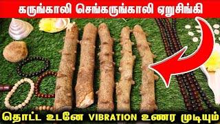 சித்தர்கள் கூறிய ஏறுசிங்கி மூலிகை | செங்கருங்காலி ரொம்ப பேரோட வாழ்க்கை மாற்றி இருக்கு | Karungali