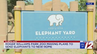 Roger Williams Park Zoo elephant trio moving to new home in 2027