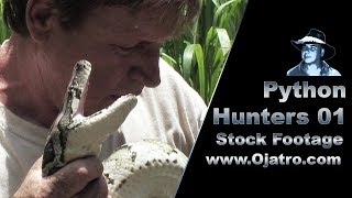 Python Hunters 01 Interview