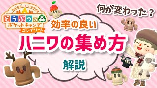 【ポケ森】コンプリート版で何が変わった？効率的なハニワの集め方解説【コンプリート】