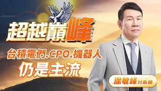 台積電們.CPO.機器人仍是主流｜20250117｜涂敏峰 分析師｜超越巔峰