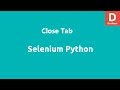 Selenium Python Close Tab