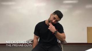 3 Neck Stretches: Levator Scapulae, Upper Trapezius, and Scalenes"