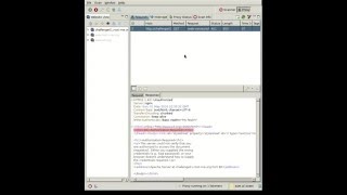 HTTP Verb Tampering with Subgraph Vega OWASP