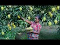 A delicious tea time snack / I made mango sweet balls and mango pudding .village kitchen recipe