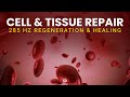 Cell Regeneration & Healing: 285 Hz Full Body Tissue Repair Frequency