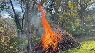 Land Management: Burn Pile, Prescribed Burn and Brush Cutting with Husqvarna 440