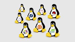 What is the Best Linux Distro? - Its the one you Make the best.