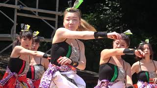 舞起龍＠2019　原宿スーパーよさこい