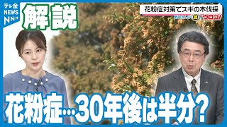 【解説】花粉症対策でスギを伐採　花粉の飛散量　30年後は現在の半分に？