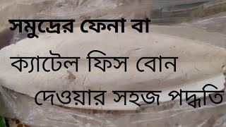 সমুদ্রের ফেনা বা ক্যাটেল ফিস বোন পাখির খাঁচায় দেয়া সহজ পদ্ধতি।। #birds #parrot