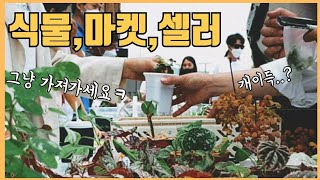 식물마켓 셀러는 어떻게 되는걸까? | 평범한 직장인의 식물 플리마켓 도전기