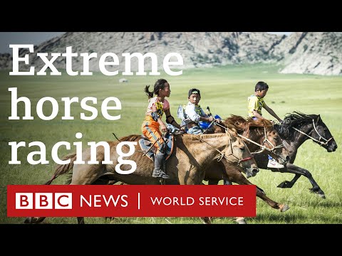 The longest horse race in the world – BBC World Service