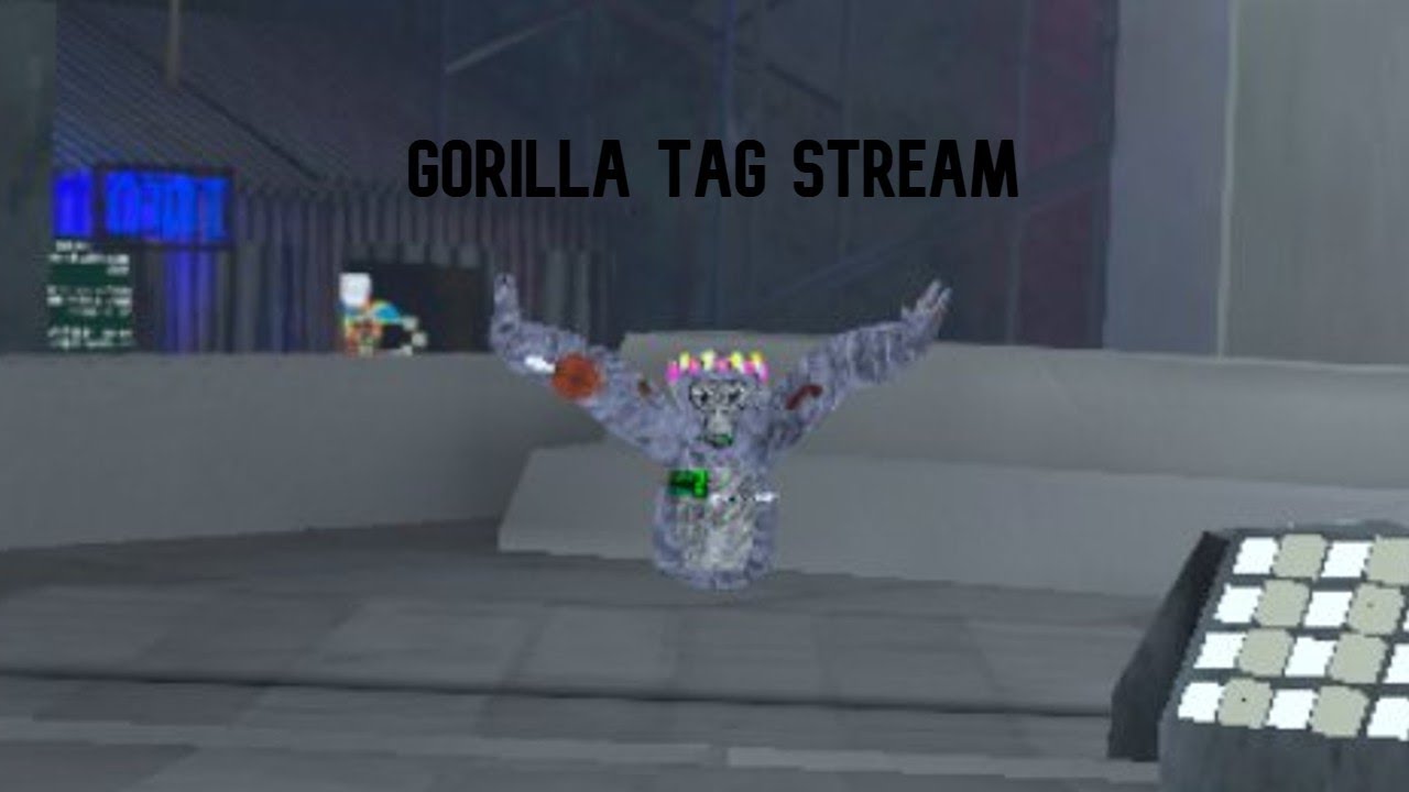 Gorilla Tag Stream Youtube