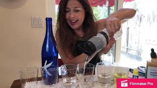 Debbie Day Carlson tests Enagic’s Kangen water compared to Nikken PiMag