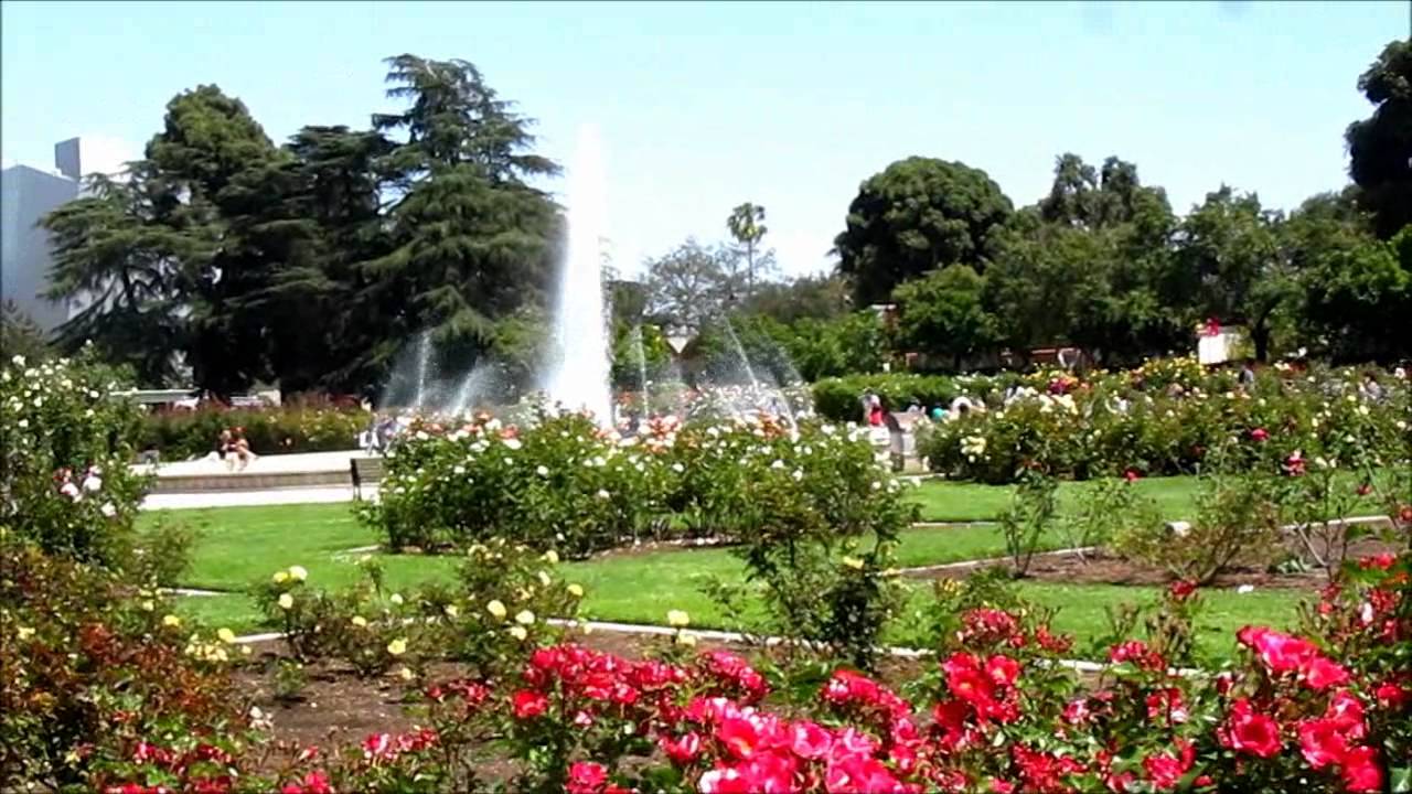 May 26, 2012: Rose Garden, Exposition Park, Los Angeles - YouTube