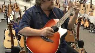 Ovation CC245HB Celebrity 12 String Acoustic Electric Guitar (Honey Burst) | Jim Laabs Music