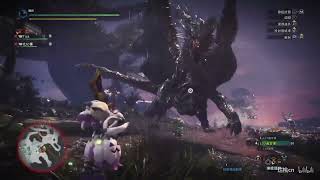 怪物猎人 世界 2把连发通常弹2轻弩对比 吸血 输出 历战钢龙 Monster Hunter World