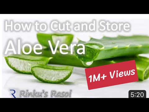 How to Cut and Store Aloe Vera | RinkusRasoi How to Cut and Store Aloe Vera | RinkusRasoi