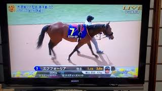 パドック2021　皐月賞　2000m