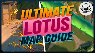 How to ACTUALLY play Lotus like a PRO