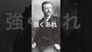 【名言集Vol.156】第26台アメリカ合衆国大統領　セオドア ・ルーズベルト・ジュニア(Theodore Roosevelt Jr.) #名言 #格言 #大統領 #アメリカ #政治 #政府 #法律