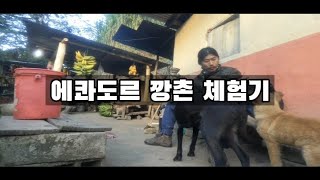 전혀 평화롭지 않은 에콰도르 깡촌마을 -세계여행, 에콰도르🇪🇨[28]