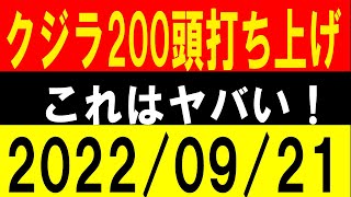 クジラ200頭 打ち上げ！これはヤバい！地震研究家 レッサー