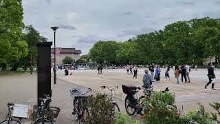 上野恩賜公園 Starbucks 星巴克 東京 日本 Ueno Tokyo Japan