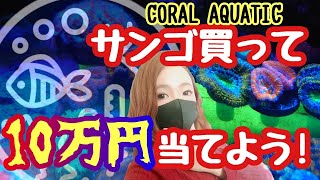 【海水魚水槽】サンゴ買って10万当たる⁉️コーラルアクアティックの企画が凄すぎた❗️my marine aquarium MOAMOAちゃんねる