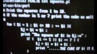 PERL Script with loop and if statement.