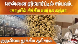 சென்னை ஏர்போர்ட்டில் சம்பவம்.. கோடியில் சிக்கிய ஹைட்ரோபோனிக் கஞ்சா - குருவியை தூக்கிய ஆபிசர்ஸ்..