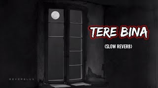 Tere Bina - AR Rahman (Slow Reverb) Indian Lofi Songs | Bollywood Lofi Songs |