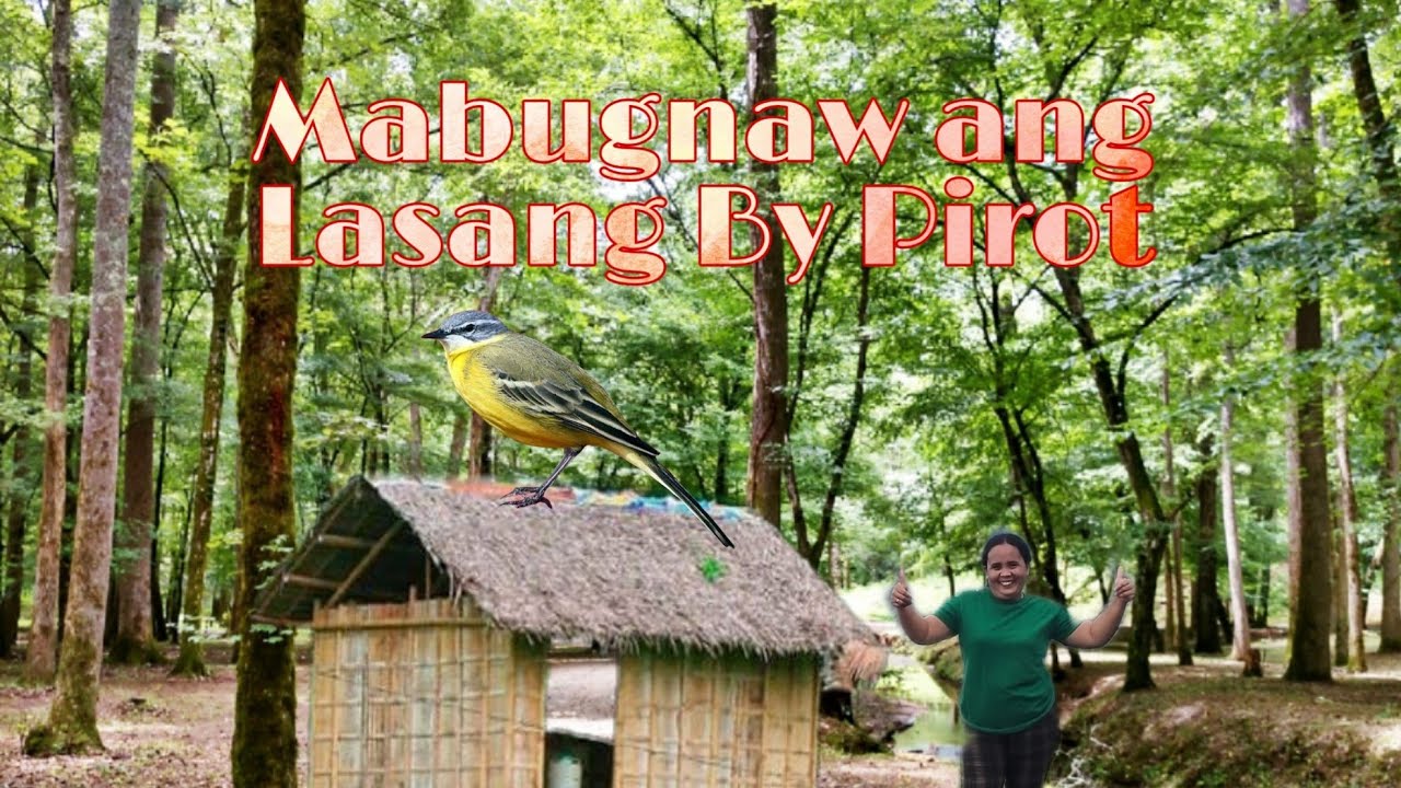 Mabugnaw Ang Lasang By Pirot - YouTube