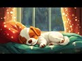 12 hours of piano music for babies my safe place 🎵🐶 cute sleeping puppy u0026 christmas mood