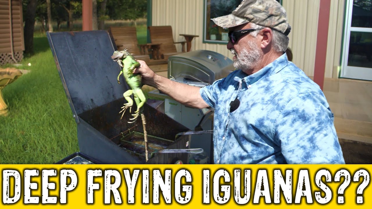 How To Cook Iguanas Youtube