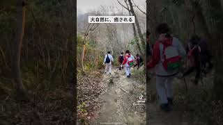 滅茶苦茶、明るい　鈴が峰の山頂　朝日を浴びて　下山スタート　登山   #shorts