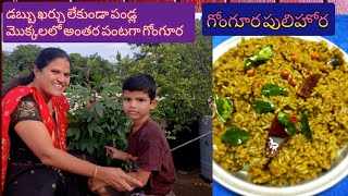 Zero budget gardening ideas #మిద్దెతోటలో గోంగూర #internal crops in terrace garden #indian sorrel