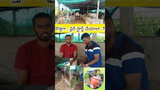 #dairyfarm కొత్తగా డైరీ స్టార్ట్ చేయాలా? Start a new dairy farm!!#sureshagritalks #cow