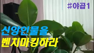 2024.6.5.ㅣ수요일 ㅣ나같은 죄인에게도 하나님이 함께 하실까요?(창27:42-44)ㅣ 신앙인물 벤치마킹-야곱1ㅣ