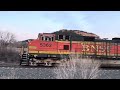 cn 3368 lead’s the incredible g swecnj3 05a at palmer lake co 2 9 2025.