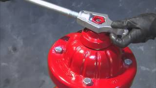 Medallion Fire Hydrant - Maintain and Service